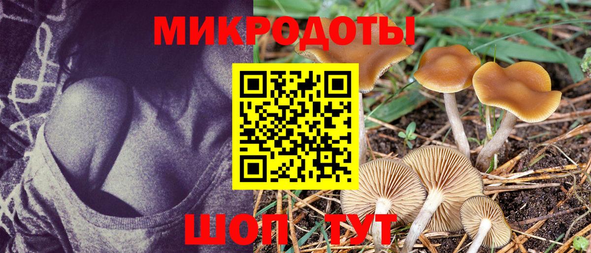 Галлюциногенные грибы мухоморы  Вход с VPN  Хасавюрт 
